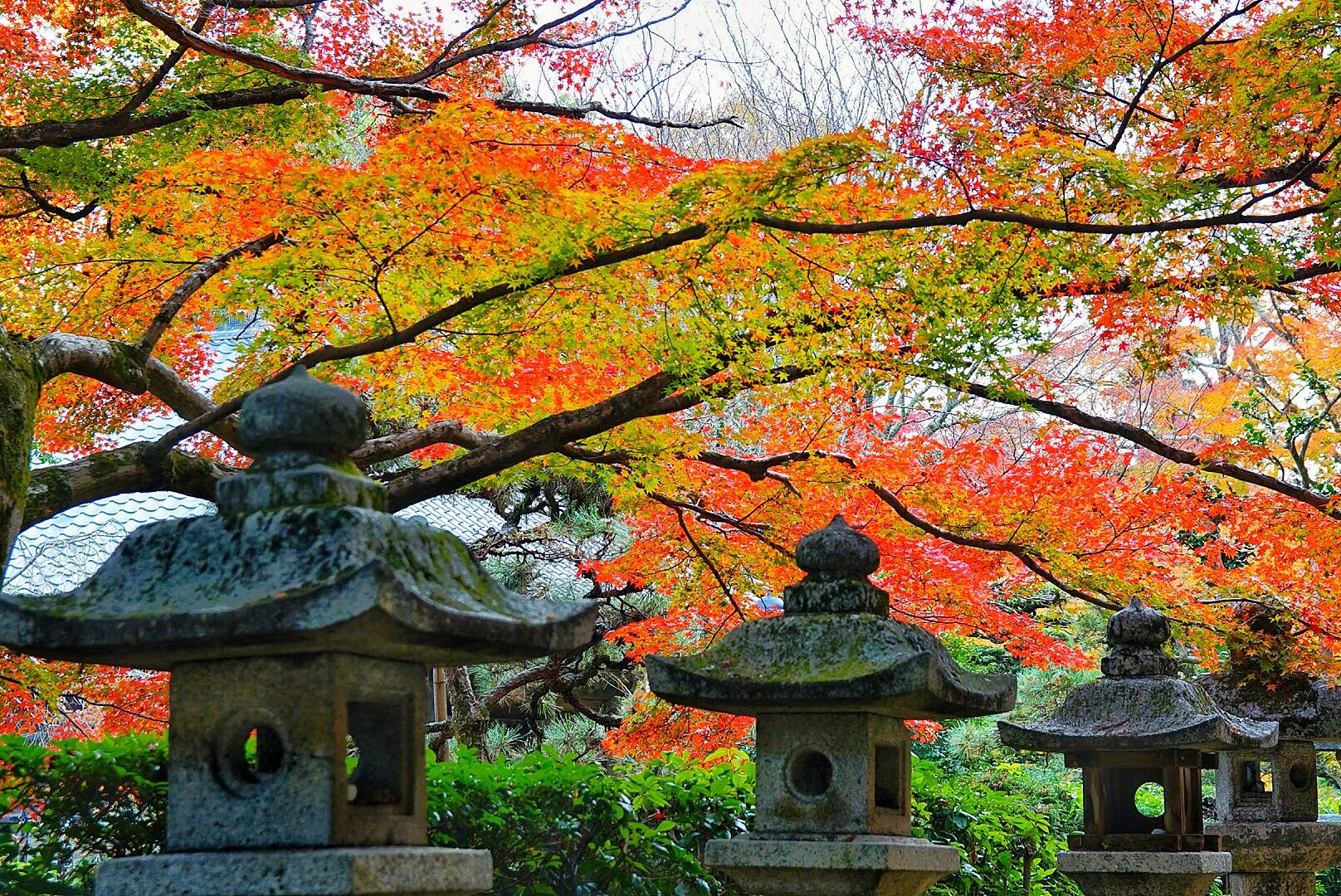 永代供養付合祀墓