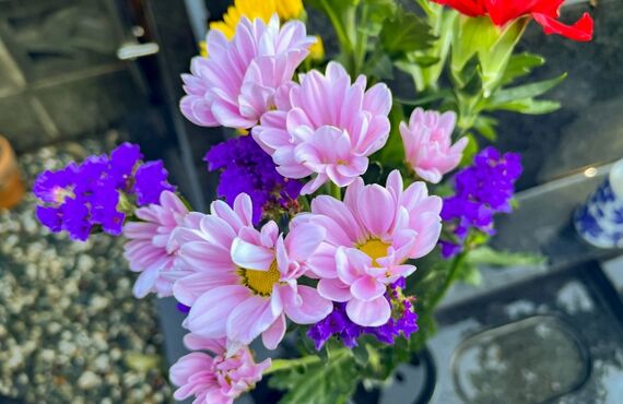 川崎市|永代供養のお墓でお困りの方|納骨料２万円|NPO法人納骨支援の会